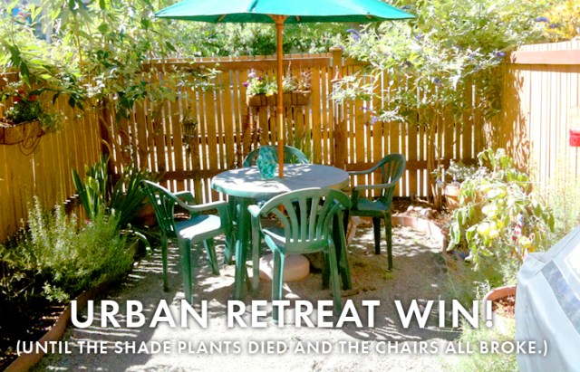 The yard after 2 years